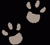 PAWPRINT.gif